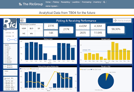 Analytics & Reporting